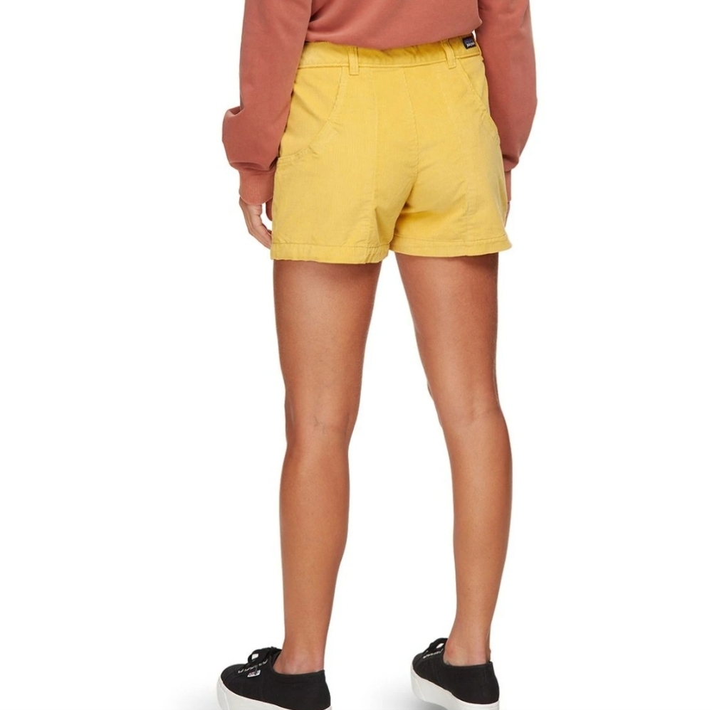 Patagonia Cord Stand Up shorts SZ 12